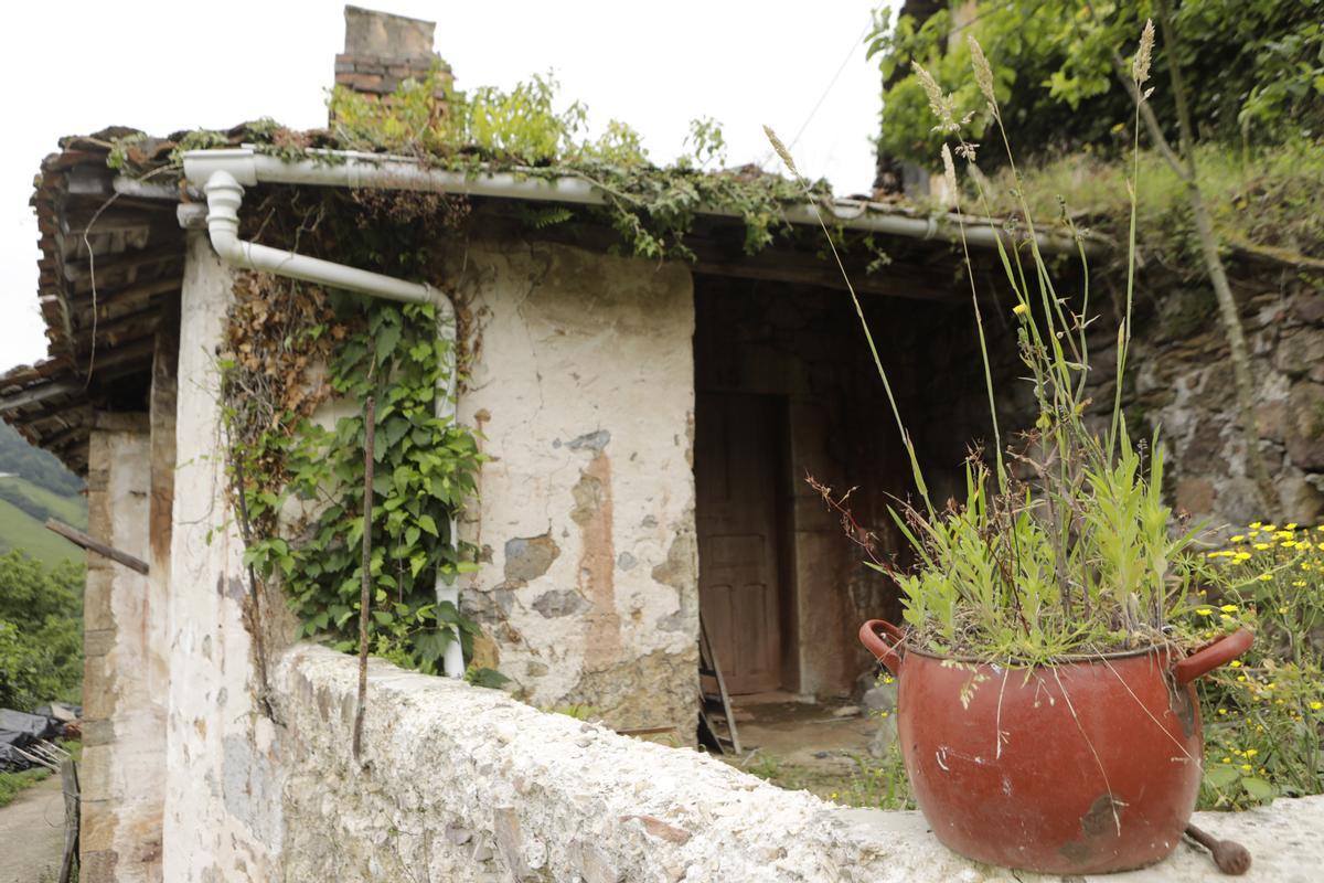Bandujo, galería de fotos del pueblo más guapo de Asturias
