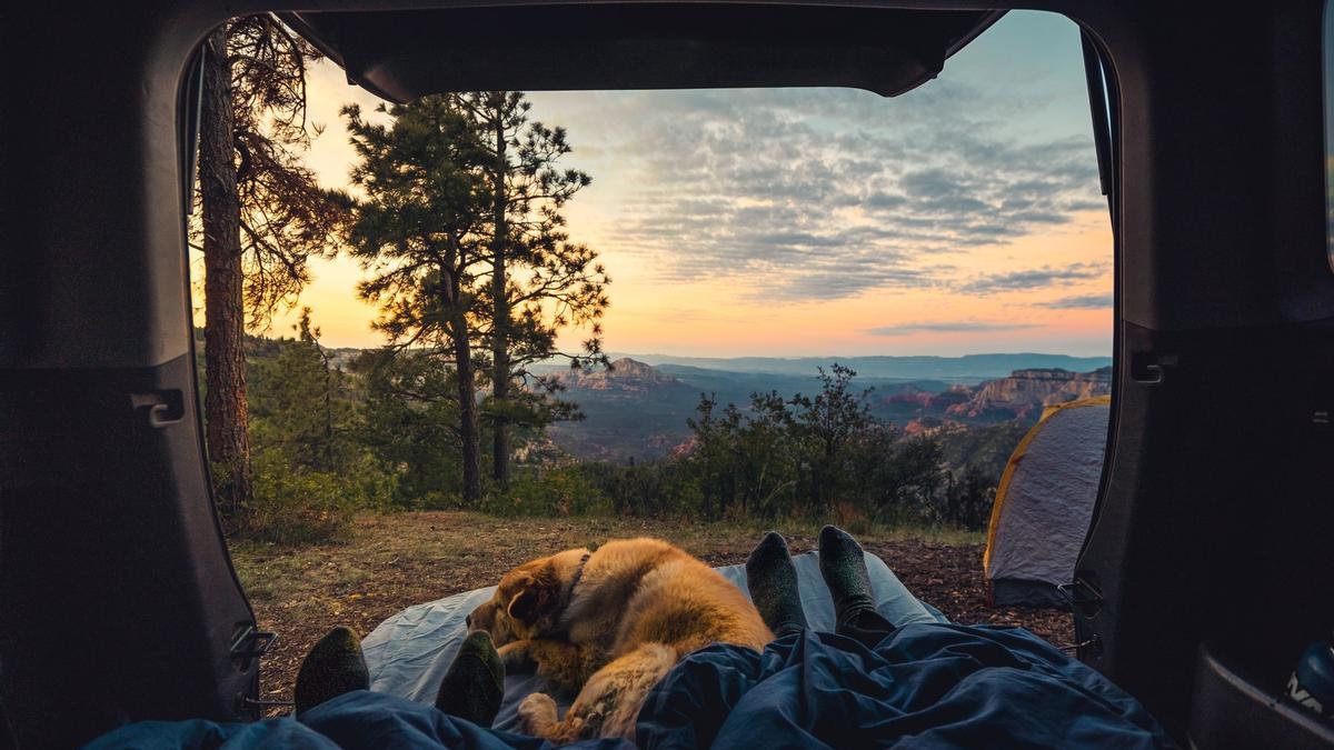 Colchones hinchables para dormir como en casa cuando estamos de camping o tienes invitados