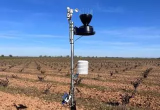 La DO Toro teje una red de estaciones meteorológicas en parcelas de viñedo