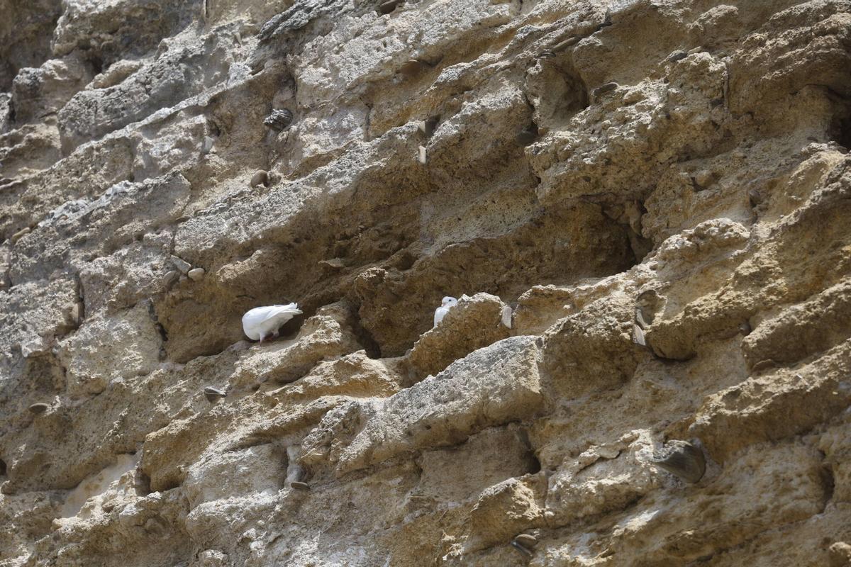 La torre de la Malmuerta, en imágenes