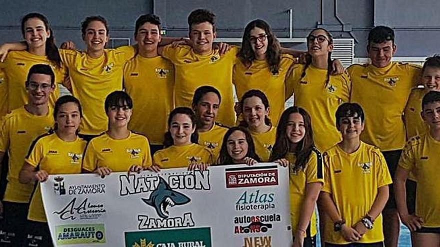 Buenos resultados para el Natación Zamora en una nueva jornada de la Liga Territorial