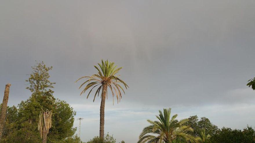 Polvo africano en Murcia.