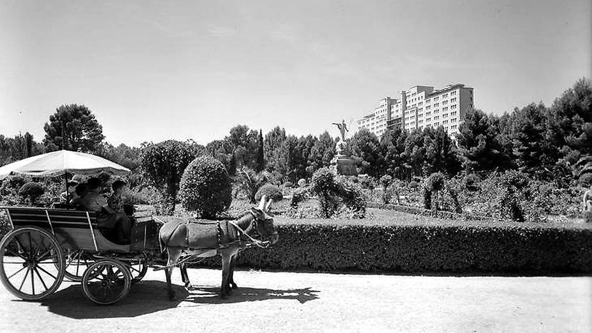 Carro repleto de niños acarreado por dos burros en el parque Primero de Rivera (Parque Grande José Antonio Labordeta), 1956