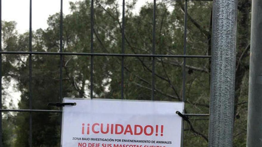 La presencia de una cianobacteria perteneciente al género Phormidium ha obligado a suspender el uso recreativo del pantano de La Concepción.