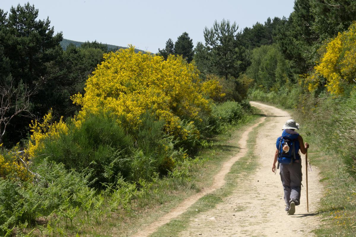 Santa María do Cebreiro es la primera localidad gallega del Camino de Santiago francés
