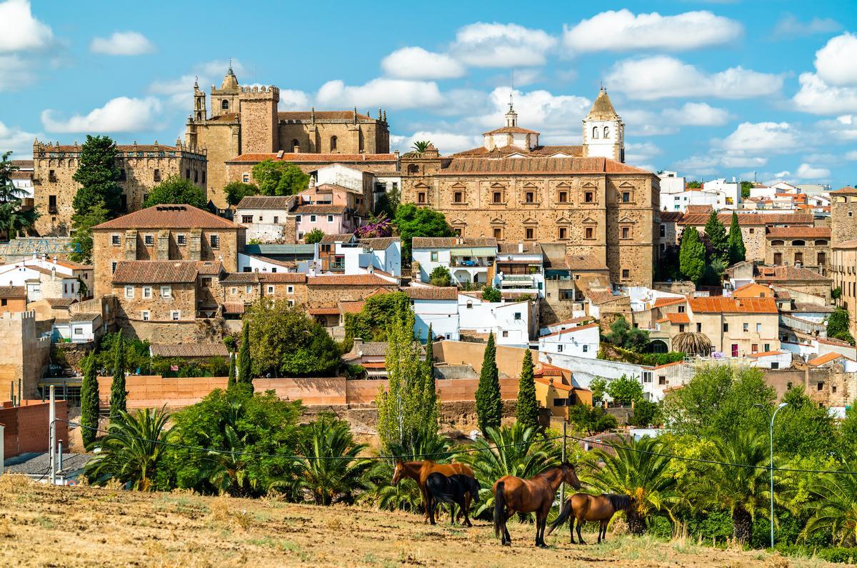 Turismo inteligente (y sostenible): una ciudad, un bosque y un destino