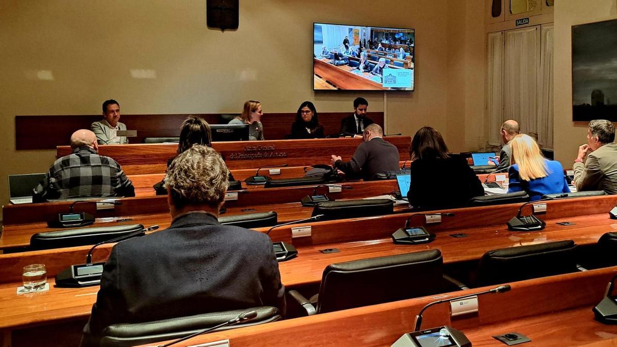 Ovidio Zapico, a la izquierda, durante su comparecencia en comisión parlamentaria.