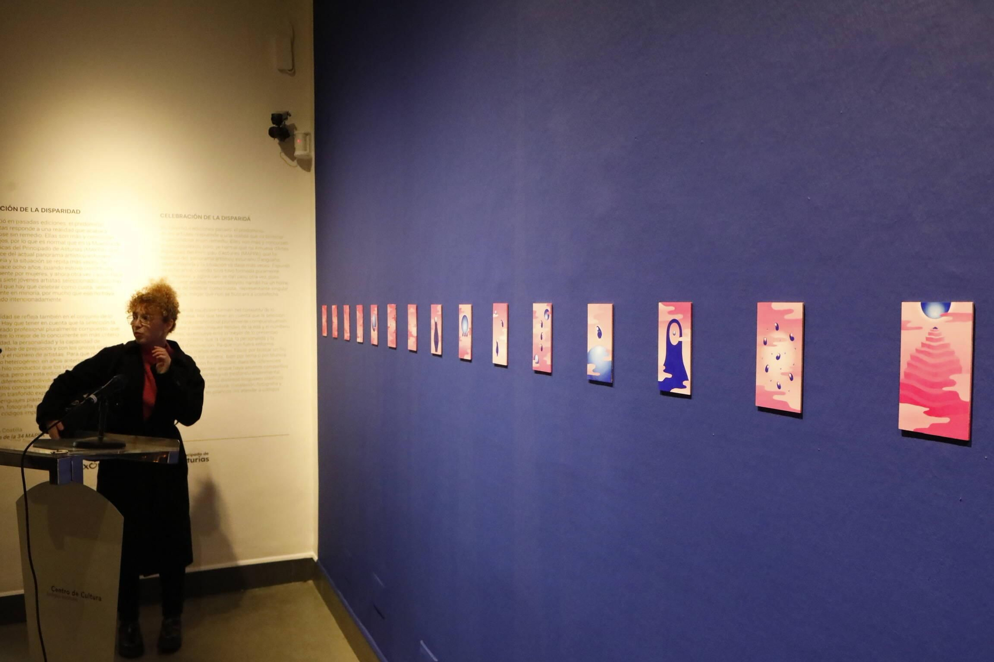 La presentación de la Muestra de Artes Plásticas en el Antiguo Instituto, en imágenes