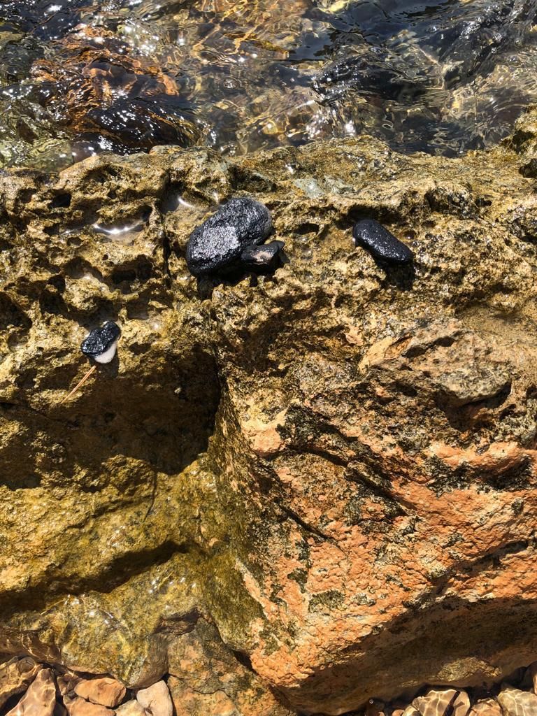 S'Estanyol, en Ibiza, cubierto de restos del yate quemado en Formentera