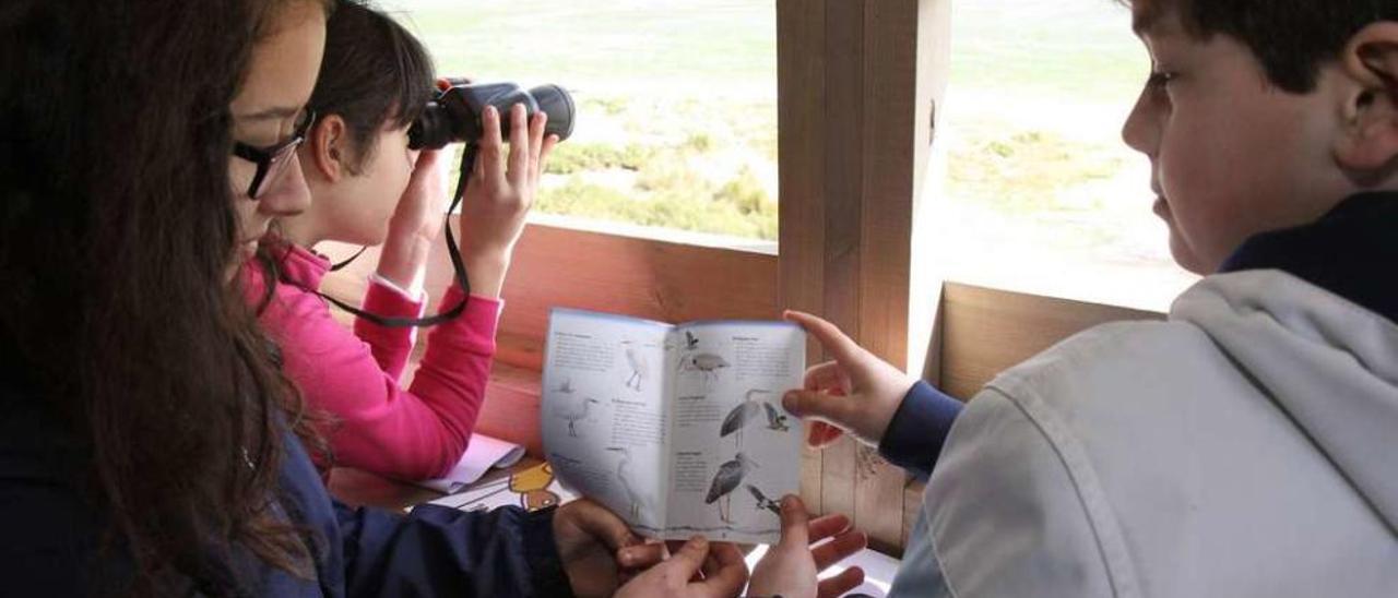 Un grupo de aficionados a la ornitología trata de avistar aves provistos de unos prismáticos y una guía. // Iñaki Abella