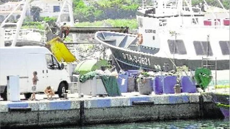 Algunes embarcacions que hi ha atracades al port pesquer del Port de la Selva.