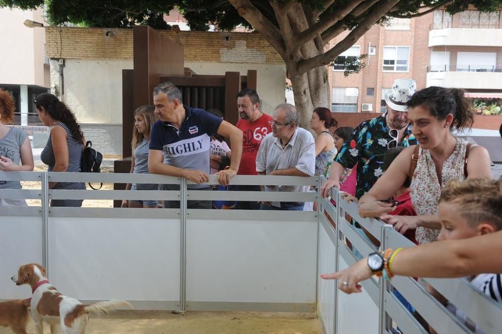 Muestra de mascotas en La Fama