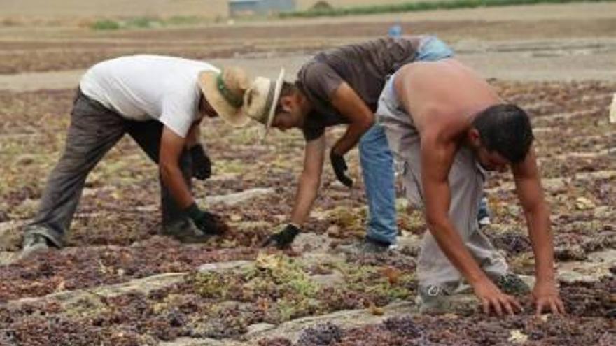 &#039;Tierra y mar&#039; se acera a &#039;La pasera de Montilla&#039;