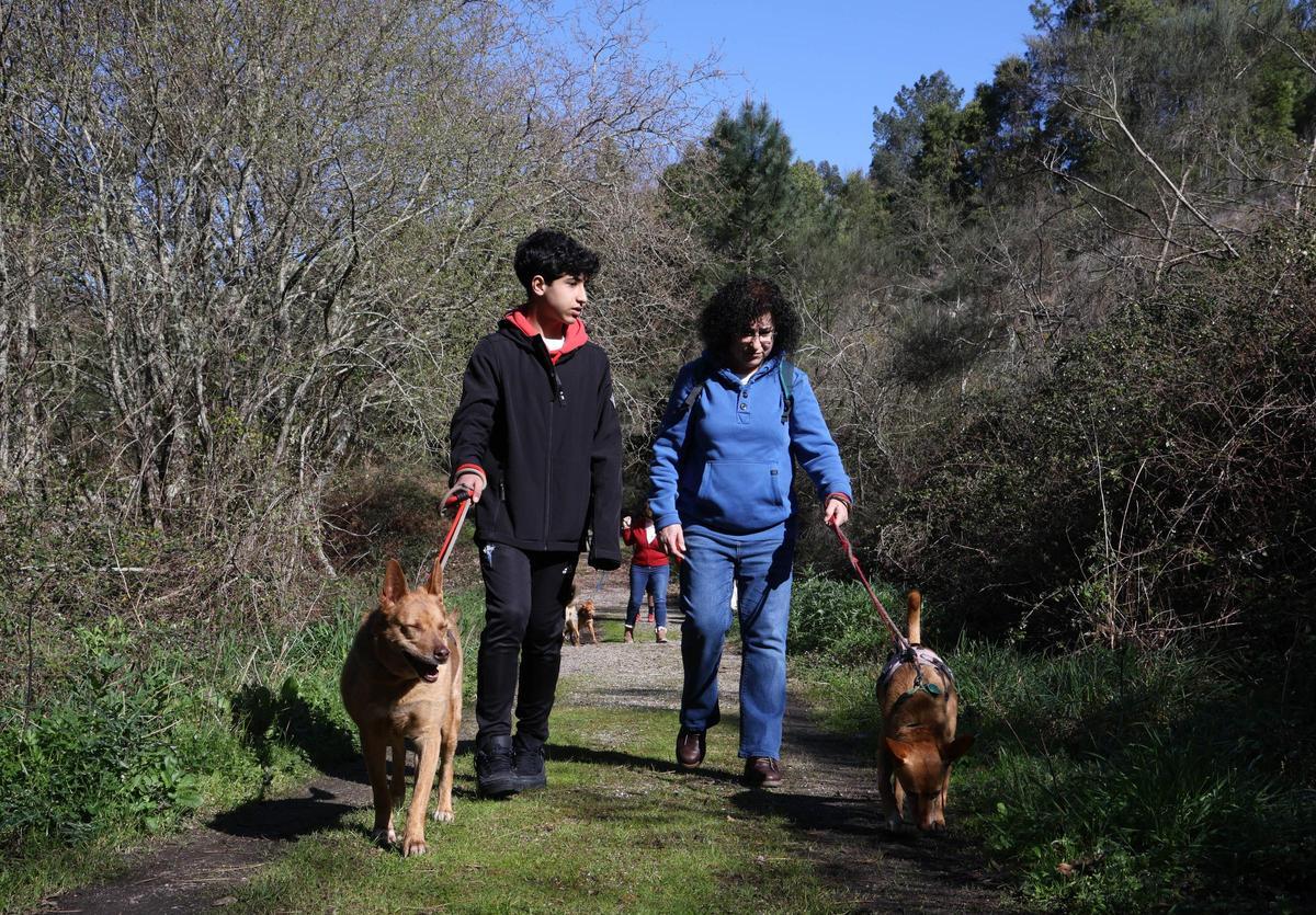 Un paseo por una buena causa: la protectora Os Biosbardos y FARO se unen en la suscripción solidaria