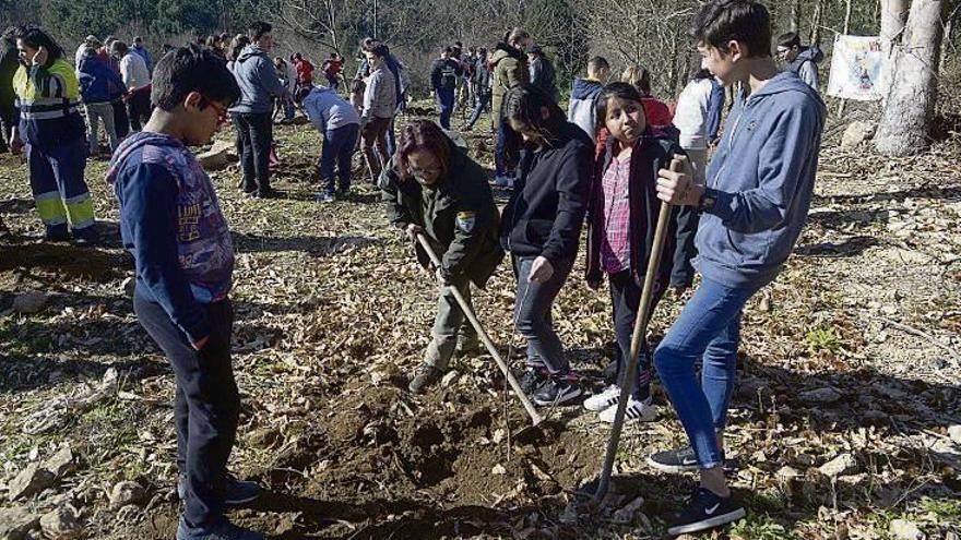 Escolares plantando en los montes vecinales de Santa María.//N.P.