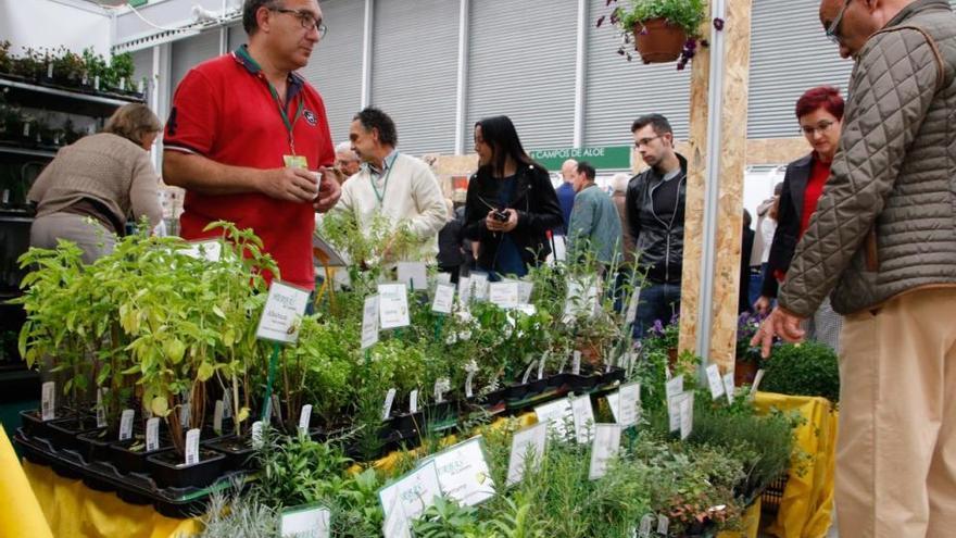 Uno de los puestos de la feria de Ecocultura.