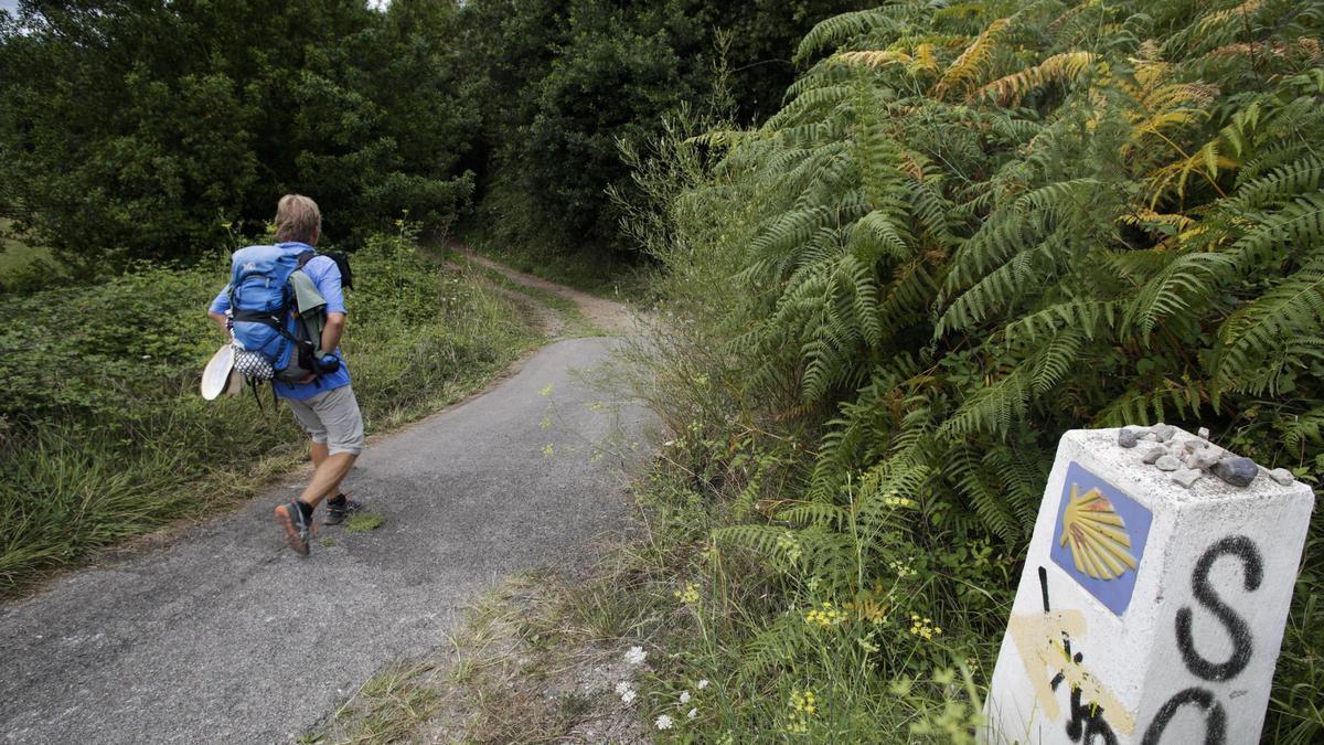 Un camino en Castrillón