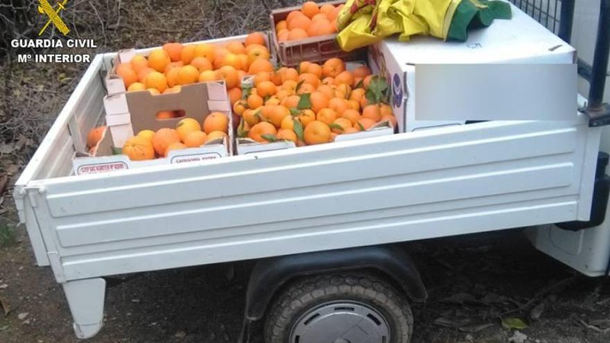 Investigado por el robo de 1,5 toneladas de naranjas en l&#039;Alcora