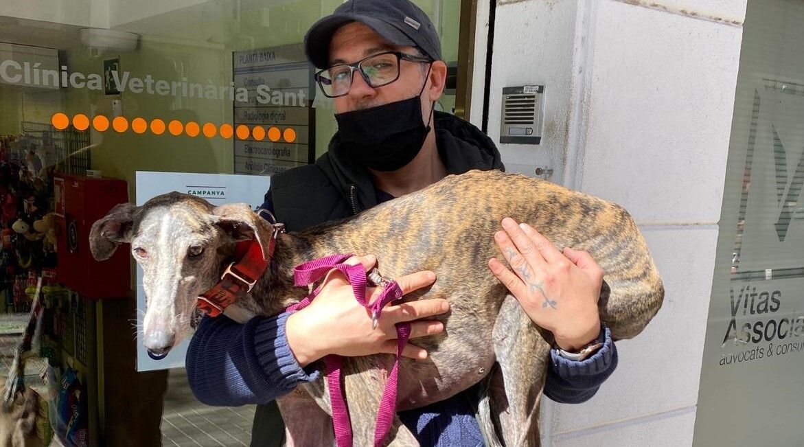 nona galgo historia perro emotiva