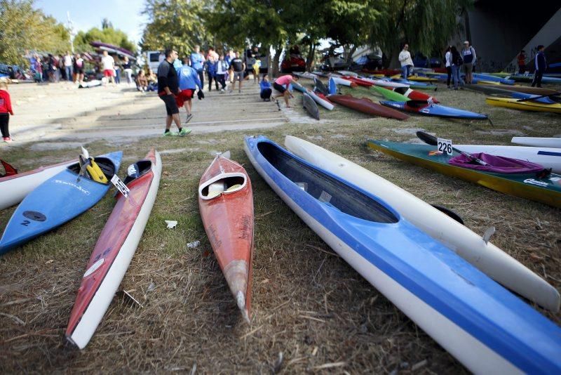 Campeonato de regatas en el Ebro