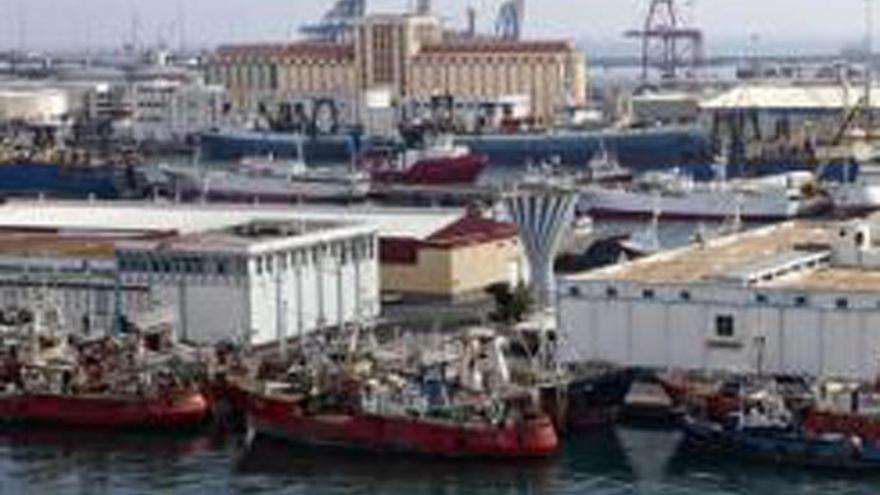 El puerto de La Luz trabajará para recuperar las descargas de pesca fresca