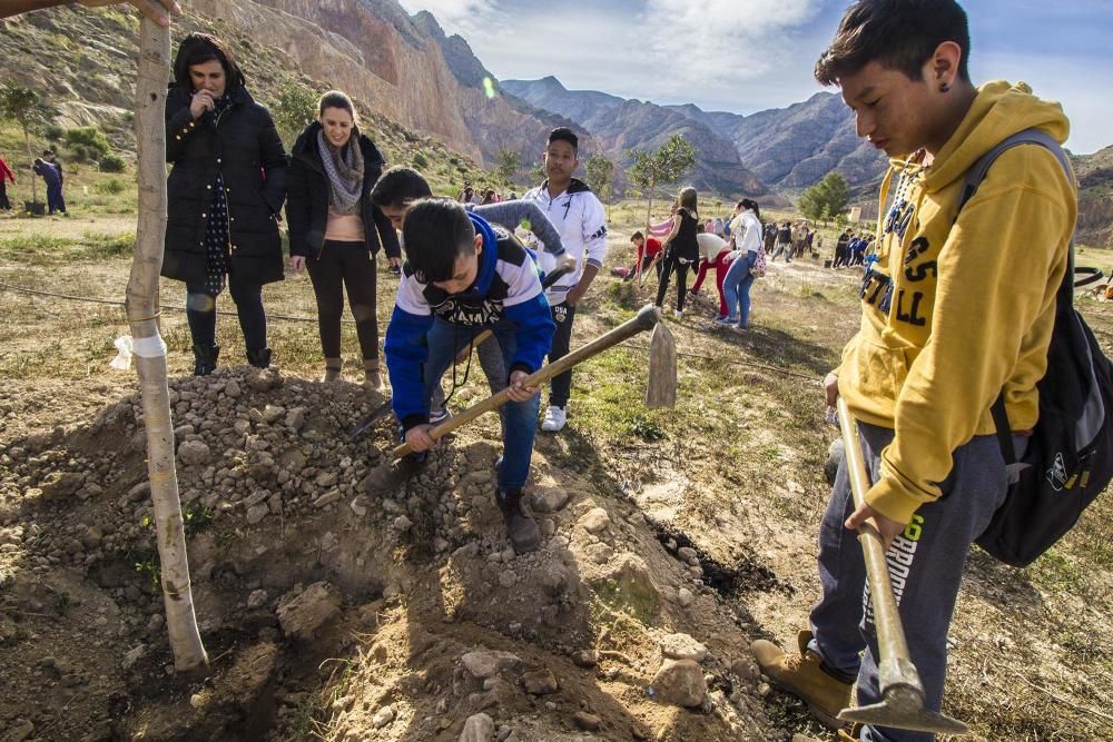 Proyecto para convertir la cantera de Cox en zona verde