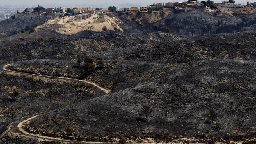 Montañas de Calicanto tras el incendio en abril