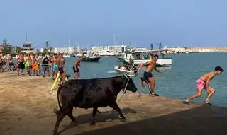 Chapuzón taurino en la primera cita de los ‘bous a la mar’ de Benicarló