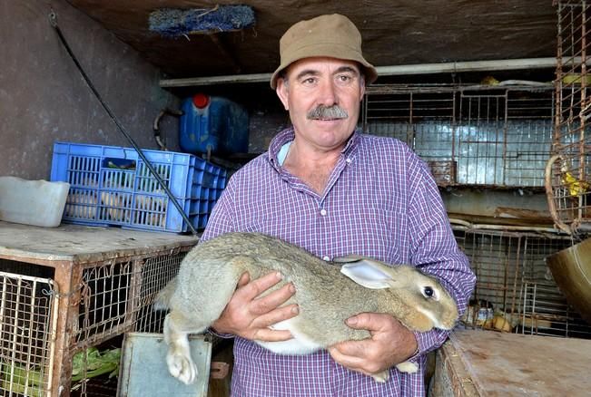 Pepe Guedes, agricultor orgánico