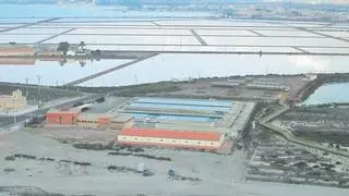 Una réplica del Mar Menor a pequeña escala para luchar por el ecosistema