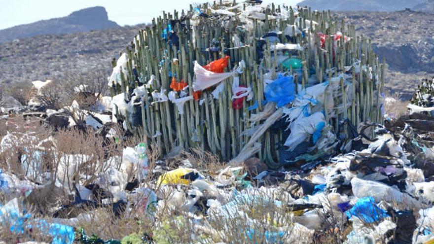 Trabajadores del ecoparque del Sur denuncian fraude en el reciclaje