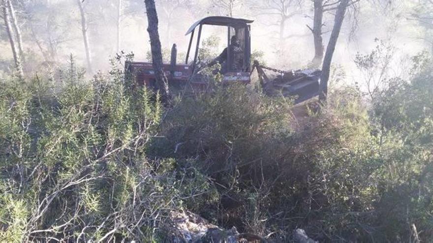 Un tractor de cadenas se encarga de triturar la leña.