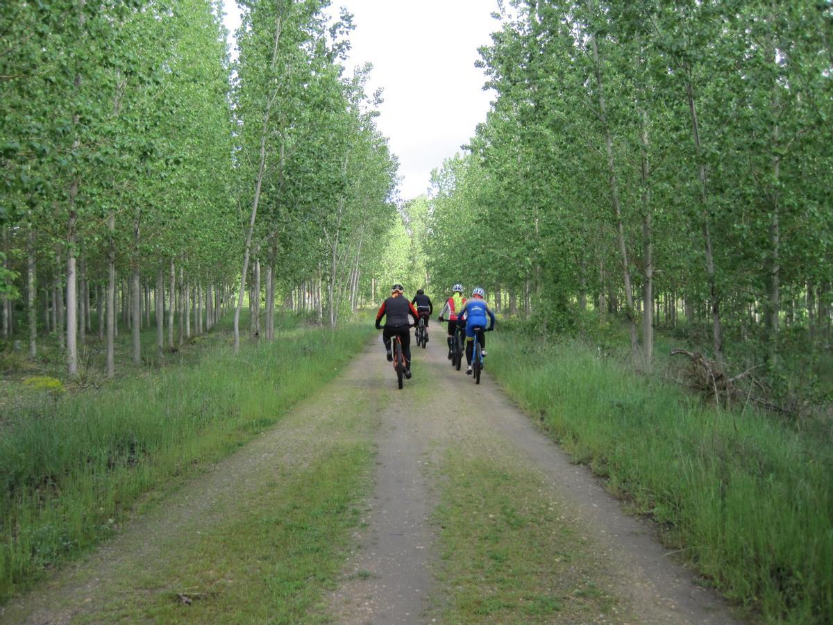 Una imagen de la ruta BTT recorrido por los cinco bikers.