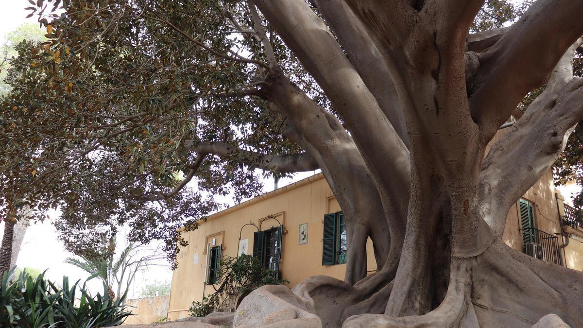 Jardín histórico de Santa Elena de Mutxamel