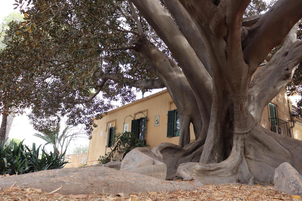 Jardín histórico de Santa Elena de Mutxamel