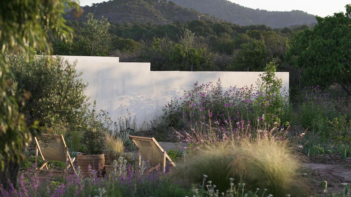 El jardín experimental que el paisajista Javier Coves ha creado en la Sierra Calderona, con más de 4.000 metros cuadrados de especies autóctonas.