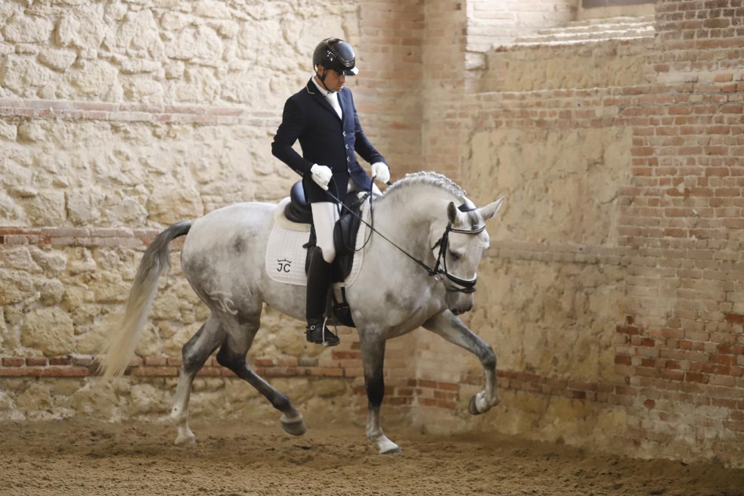 Campeonato de Europa del Caballo Lusitano