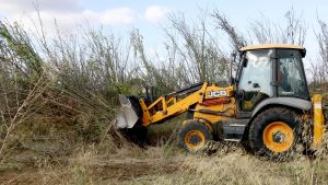 Una excavadora retirando los árboles muertos por la sequía de hace dos años.