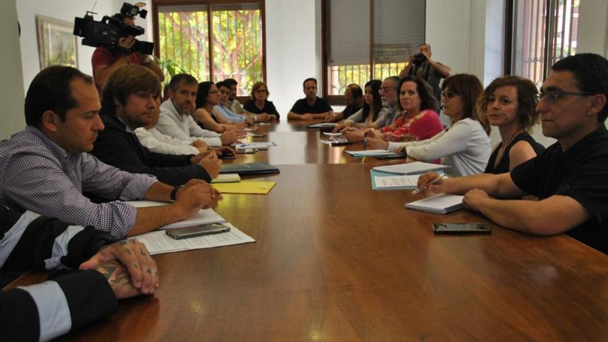 Sanidad solo fumigará si fallan los planes terrestres y con visado técnico y ambiental