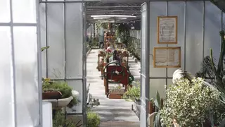Matadero se convierte en un refugio para combatir el calor: "Un cuarto de estar para la ciudad"