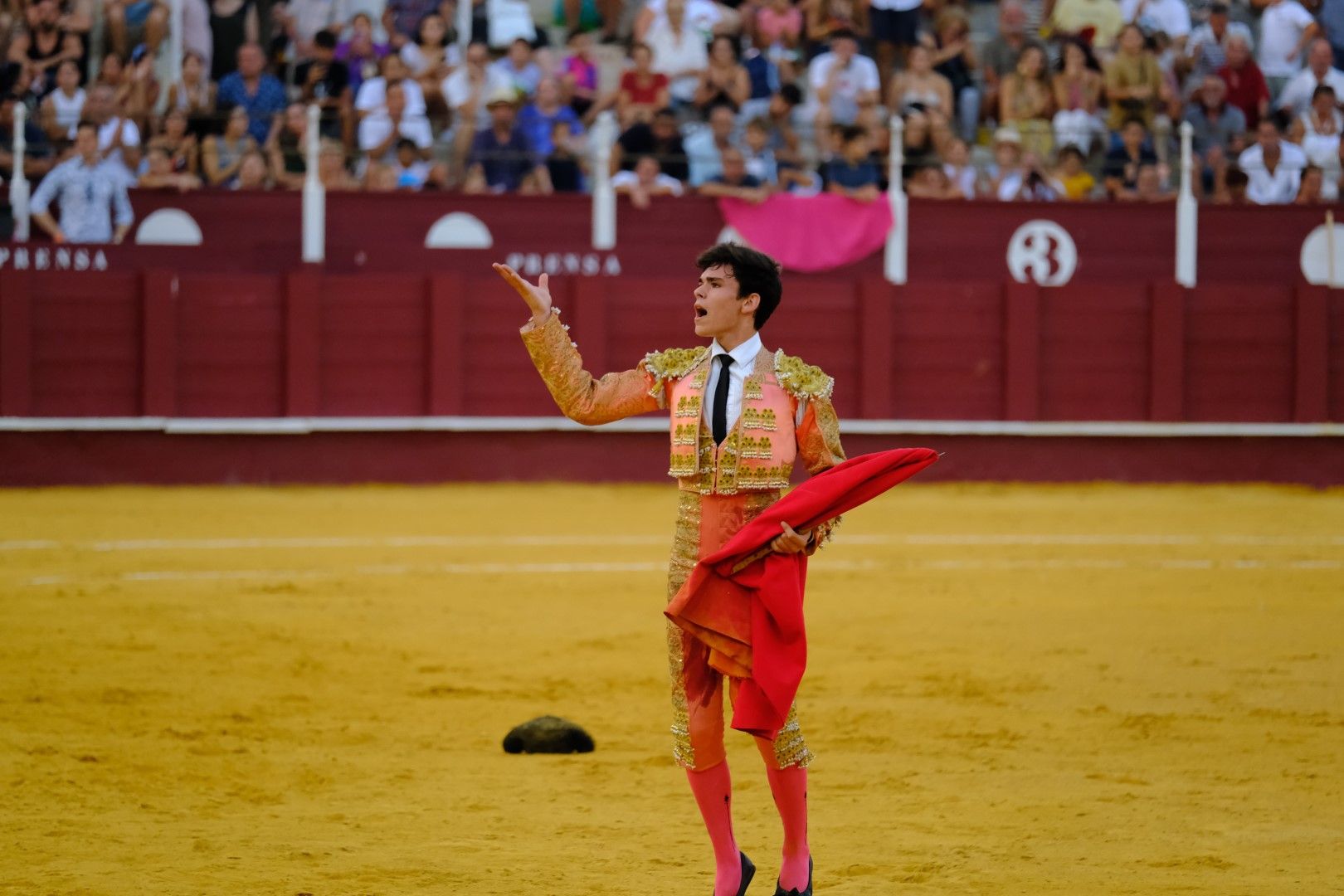 XVI Certamen Internacional de Escuelas Taurinas La Malagueta