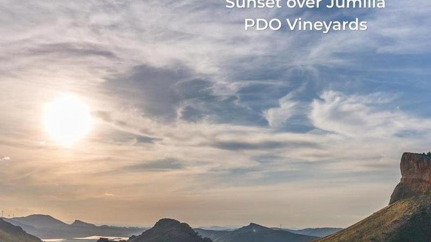 La DOP Jumilla inicia una campaña de promoción en Estados Unidos