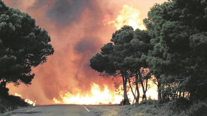 Alerta naranja por riesgo de incendios en el Bajo Ebro Forestal