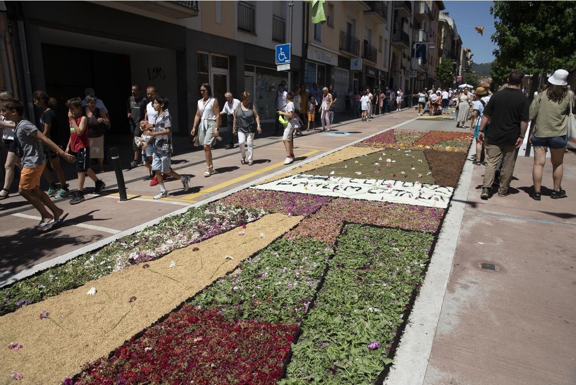 Catifes de flors d'Arbúcies