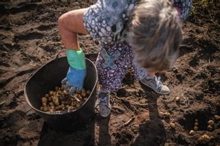 Agricultura, aún en pañales con el control de la cadena alimentaria