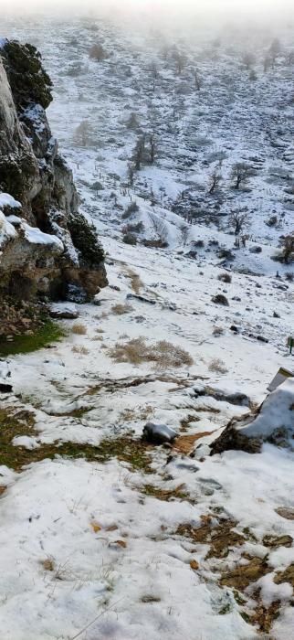 Primera nevada de la temporada en el Torrecilla.