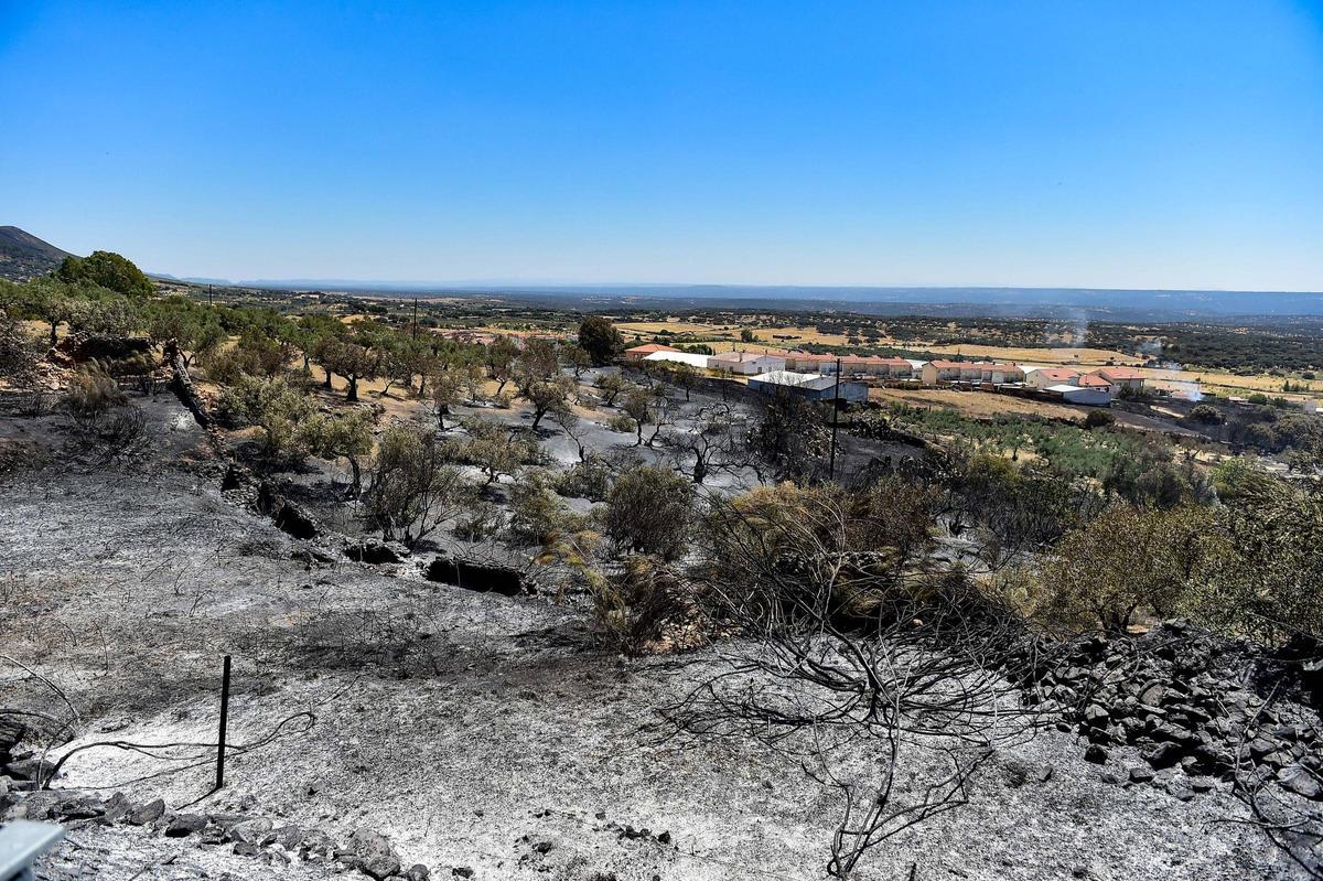 Fotogalería | Así ha quedado la zona de Casas de Millán tras el paso del incendio