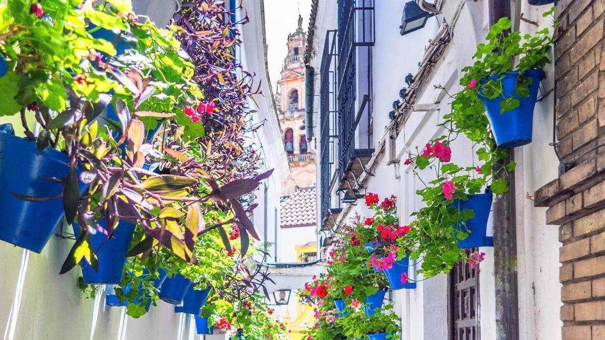 Córdoba, o la ciudad tomada por las flores