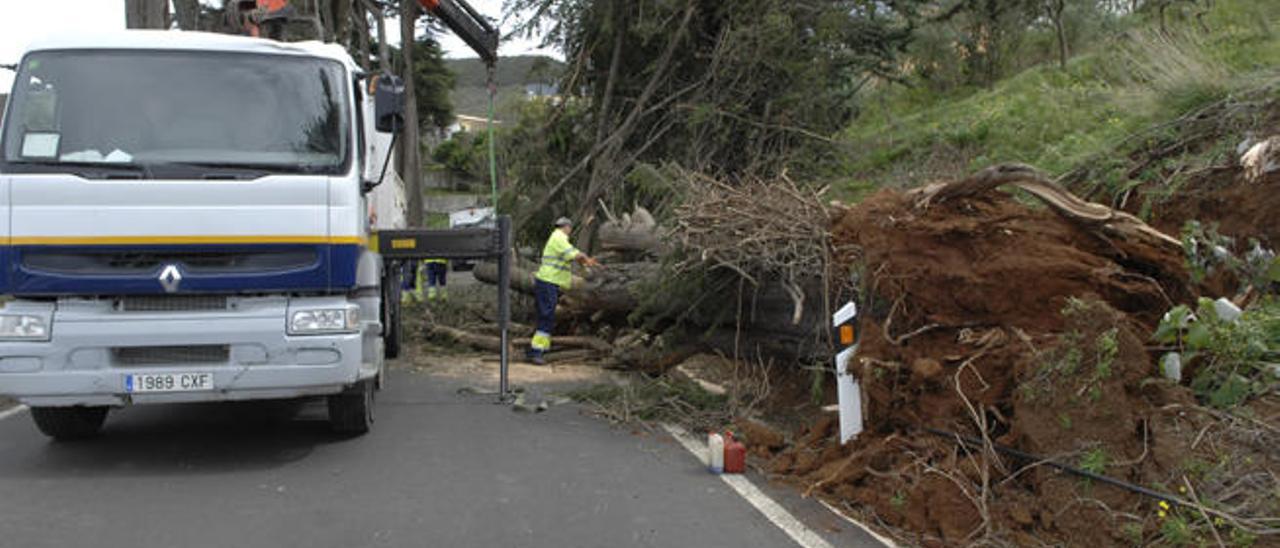 Nueve empresas denuncian tratos de favor en el área de carreteras del Cabildo