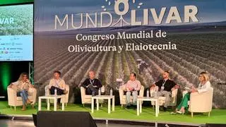 Mundolivar plantea el reto de convertir EEUU en el principal país consumidor de aceite de oliva